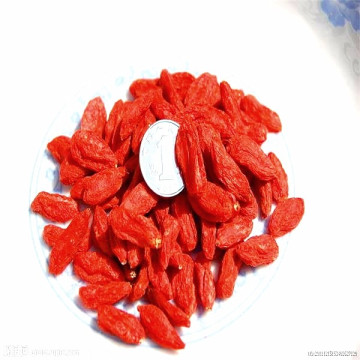 Goji berries doces da Mongólia Interior